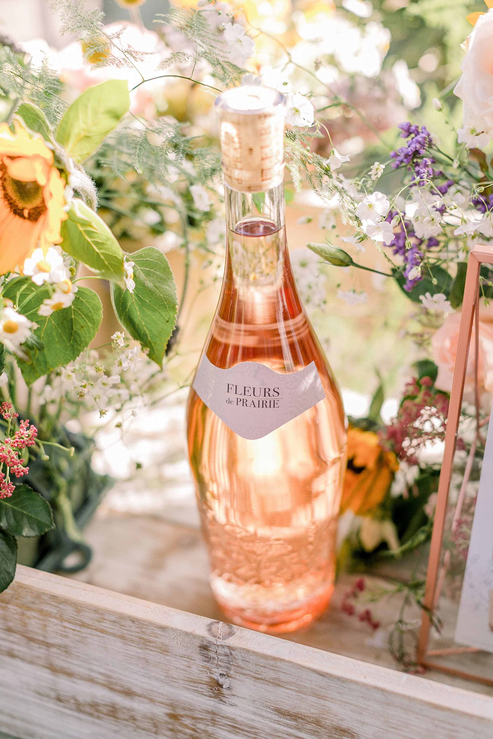 Gallo Verkäufe -Gallo Verkäufe 81rZ5LYR2YL